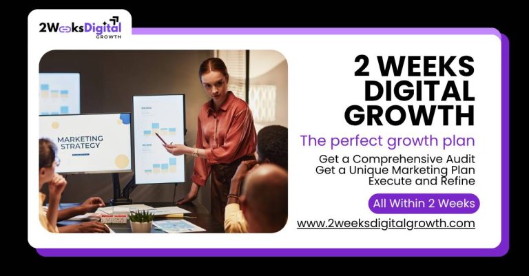 2 Weeks Digital Growth Marketing Agency Ads Banner-1